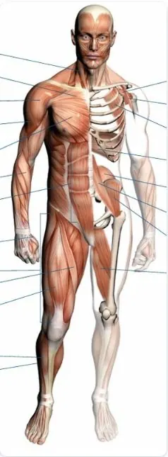 Bio-Dynamics image