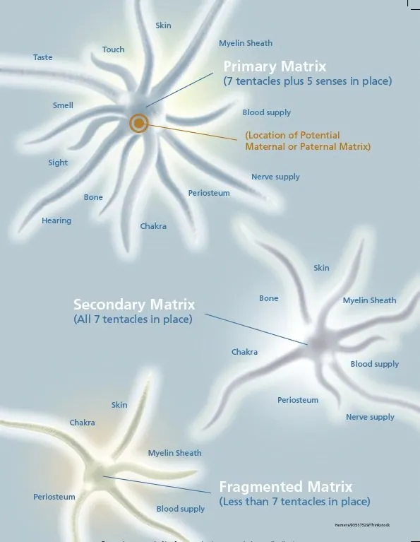 Matrix Dynamics image