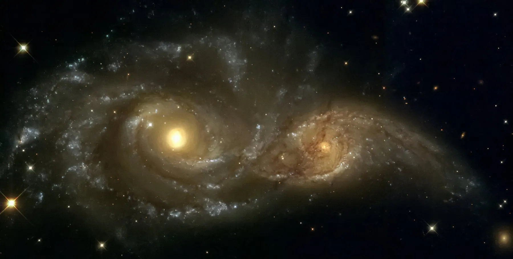 Principles of Consciousness image