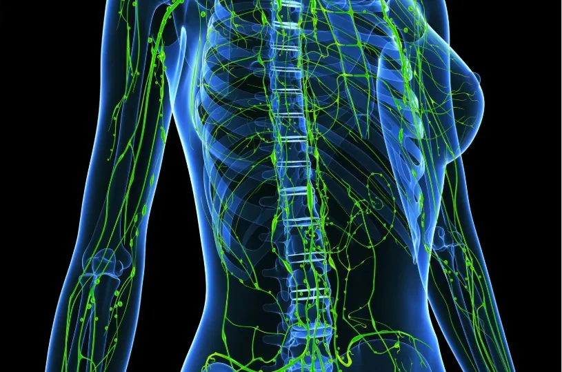 Veltheim Method of Lymphatic Drainage